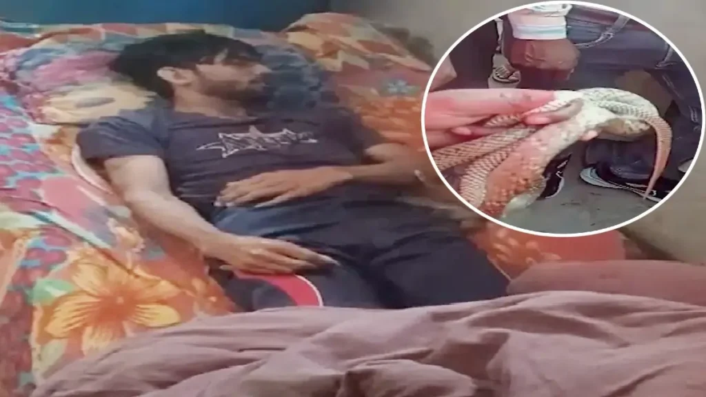 जहरीले प्रेमी जोड़े ने रची पति की हत्या की खौफनाक साजिश
मेरठ