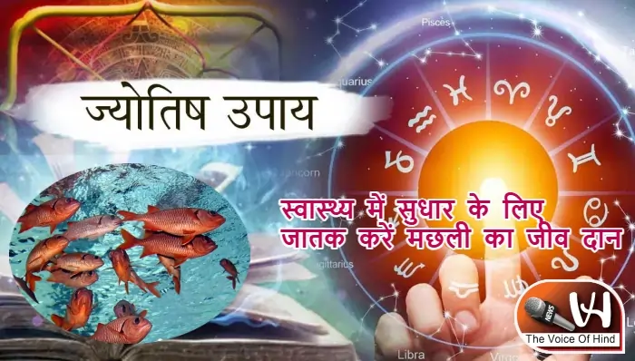आज का राशिफल (17-06-2025): स्वास्थ्य में सुधार के लिए जातक करें मछली का जीव दान