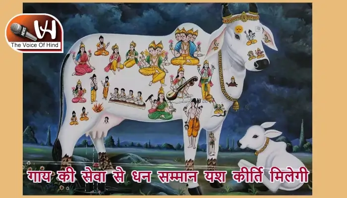 आज का राशिफल (12-06-2025): गाय की सेवा से धन सम्मान यश कीर्ति मिलेगी