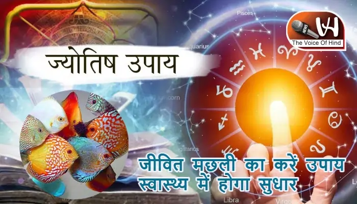 आज का राशिफल (14-06-2025): जीवित मछली का करें उपाय स्वास्थ्य में होगा सुधार