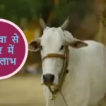आज का राशिफल (5-06-2025): गौ सेवा से व्यापार में होगा लाभ