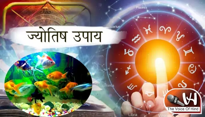 आज का राशिफल (16-07-2025): जातक करें जीवित मछली का ज्योतिष उपाय बनेगा काम