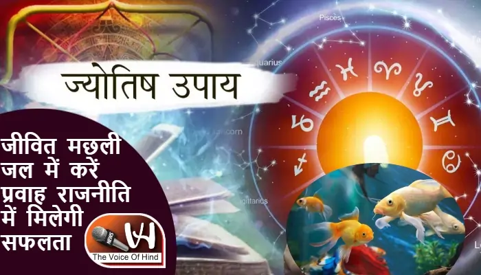 आज का राशिफल (27-07-2025): जीवित मछली जल में करें प्रवाह राजनीति में मिलेगी सफलता