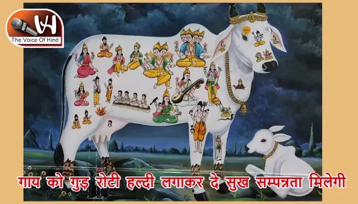 आज का राशिफल (3-07-2025): गाय को गुड़ रोटी हल्दी लगाकर दे सुख सम्पन्नता मिलेगी