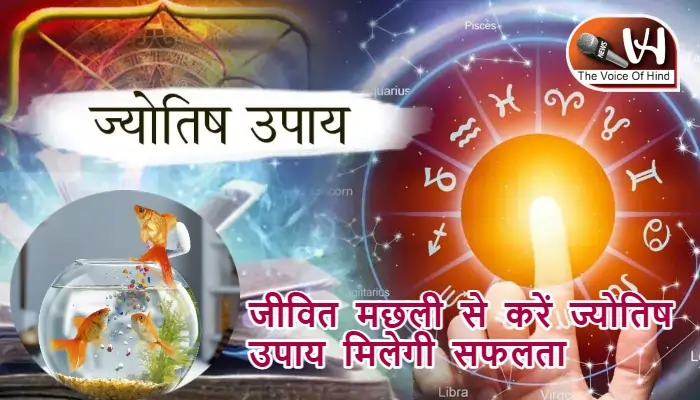 आज का राशिफल (4-07-2025): जीवित मछली से करें ज्योतिष उपाय मिलेगी सफलता