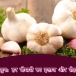 कच्चा लहसुन: हर बीमारी का इलाज और सेहत का राज़!