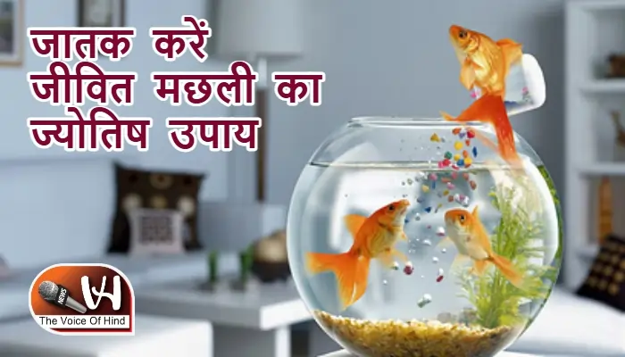 आज का राशिफल (23-08-2025): जातक करें जीवित मछली का ज्योतिष उपाय