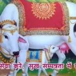 आज का राशिफल (3-08-2025): गाय की सेवा करें, सुख सम्पन्नता में वृद्धि होगी