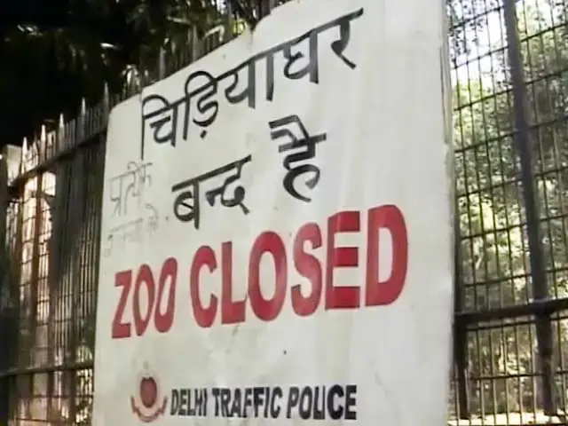 दिल्ली नेशनल चिड़ियाघर में बर्ड फ्लू अलर्ट: सुरक्षा के लिए अस्थायी रूप से बंद