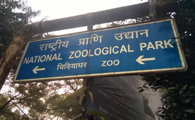 दिल्ली नेशनल चिड़ियाघर में बर्ड फ्लू अलर्ट: सुरक्षा के लिए अस्थायी रूप से बंद