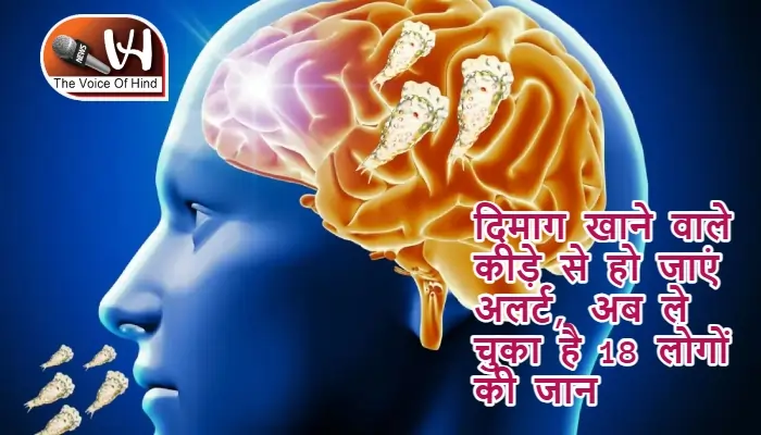 दिमाग खाने वाले कीड़े से हो जाएं अलर्ट, अब ले चुका है 18 लोगों की जान