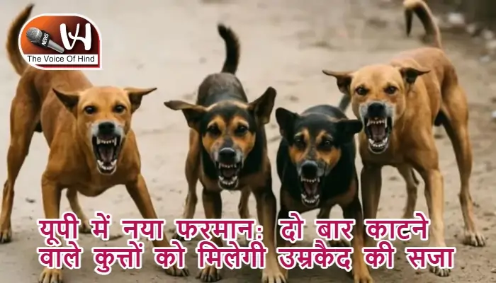 यूपी में नया फरमान: दो बार काटने वाले कुत्तों को मिलेगी उम्रकैद की सजा