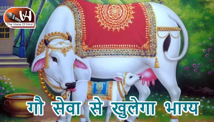 आज का राशिफल (10-10-2025): गौ सेवा से खुलेगा भाग्य