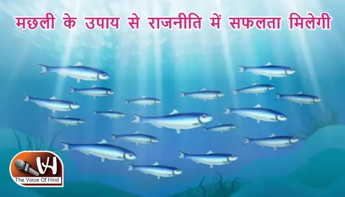 आज का राशिफल (20-10-2025): मछली के उपाय से राजनीति में सफलता मिलेगी