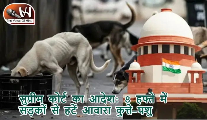 सुप्रीम कोर्ट का आदेश: 8 हफ्ते में सड़कों से हटें आवारा कुत्ते-पशु