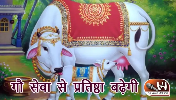 आज का राशिफल (14-11-2025): गौ सेवा से प्रतिष्ठा बढ़ेगी