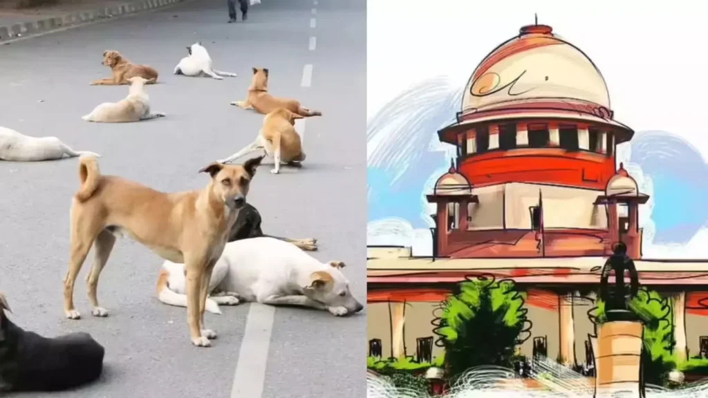 सुप्रीम कोर्ट का आदेश: 8 हफ्ते में सड़कों से हटें आवारा कुत्ते-पशु