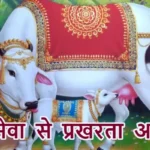आज का राशिफल (02-12-2025): गौ सेवा से प्रखरता आएगी