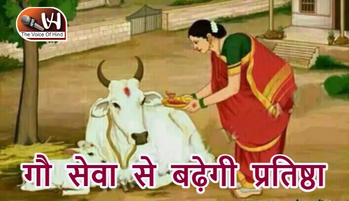 आज का राशिफल (11-12-2025): गौ सेवा से बढ़ेगी प्रतिष्ठा