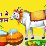 आज का राशिफल (16-12-2025): गौ सेवा से सोचा काम बनेगा