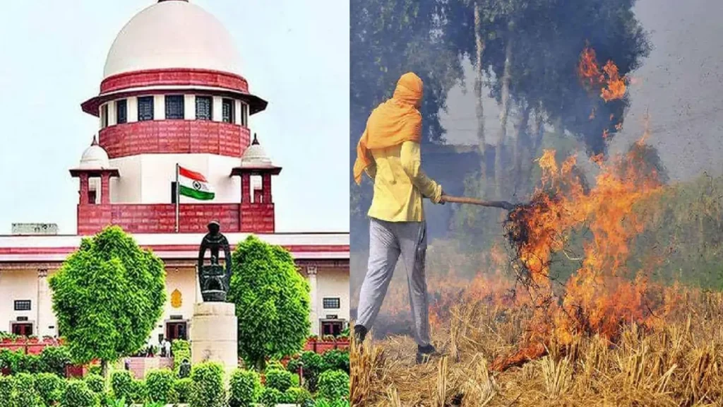 दिल्ली वायु प्रदूषण पर सुप्रीम कोर्ट: पराली को अकेला दोष देना गलत