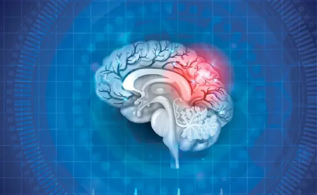 लखनऊ विश्वविद्यालय की बड़ी खोज: पान के पत्ते से होगा अल्ज़ाइमर का इलाज