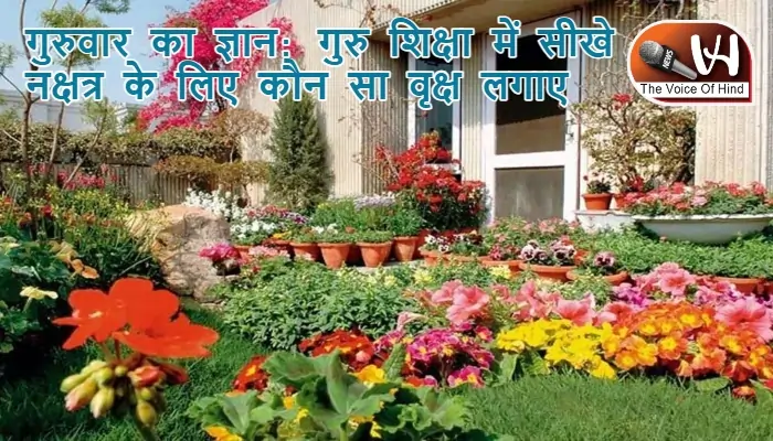 गुरुवार का ज्ञान: गुरु शिक्षा में सीखे नक्षत्र के लिए कौन सा वृक्ष लगाए
