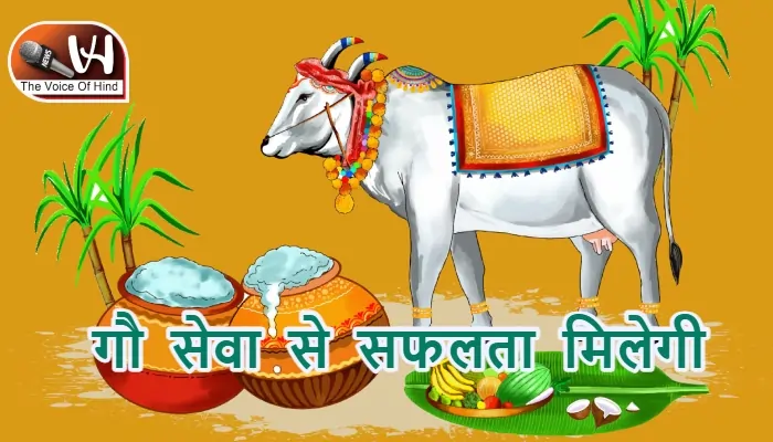 आज का राशिफल (7-02-2026): गौ सेवा से सफलता मिलेगी
