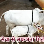 आज का राशिफल (22-03-2026) : गौ सेवा से सफलता मिलेगी