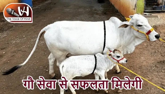 आज का राशिफल (22-03-2026) : गौ सेवा से सफलता मिलेगी