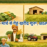 यूपी में 30 मार्च से गेहूं खरीद शुरू, MSP रुपये तय