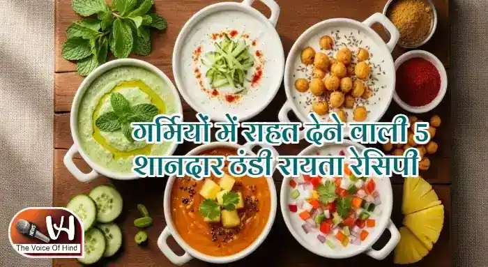 गर्मियों में राहत देने वाली 5 शानदार ठंडी रायता रेसिपी