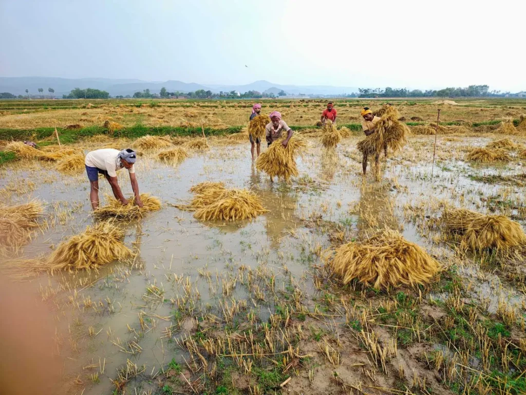सीएम योगी ने बेमौसम बारिश से परेशान किसानों का जाना हाल, दिए निर्देश