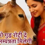 राशिफल (09-05-2026) : गाय को गुड़ रोटी दे सुख-सम्पन्नता मिलेगी