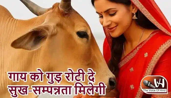 राशिफल (09-05-2026) : गाय को गुड़ रोटी दे सुख-सम्पन्नता मिलेगी