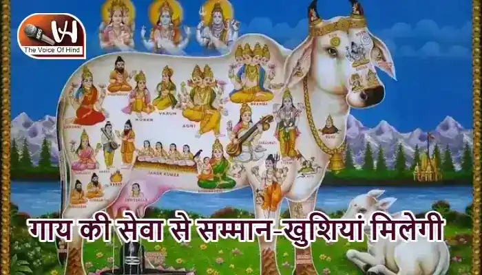 राशिफल (16-05-2026) : गाय की सेवा से सम्मान-खुशियां मिलेगी
