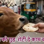 राशिफल (27-05-2026) : गाय को गुड़-रोटी दे काम बनेगा
