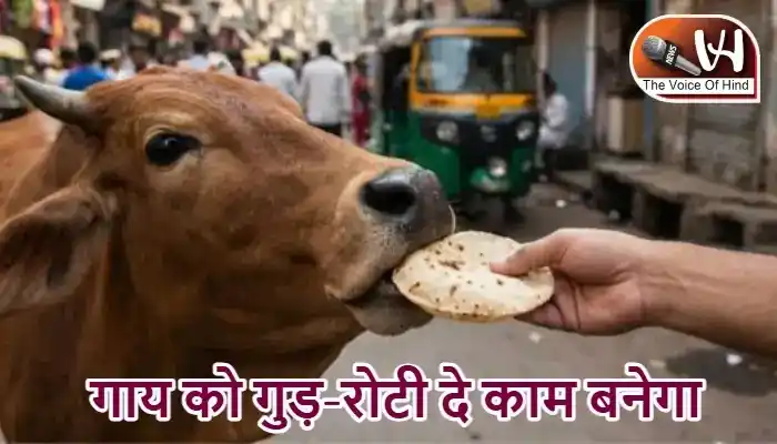राशिफल (27-05-2026) : गाय को गुड़-रोटी दे काम बनेगा