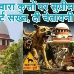 आवारा कुत्तों पर सुप्रीम कोर्ट सख्त, दी चेतावनी