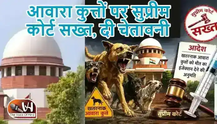 आवारा कुत्तों पर सुप्रीम कोर्ट सख्त, दी चेतावनी