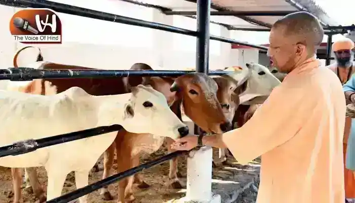 जनता दर्शन में सीएम योगी का बड़ा संदेश, बांटी राहत की सौगात