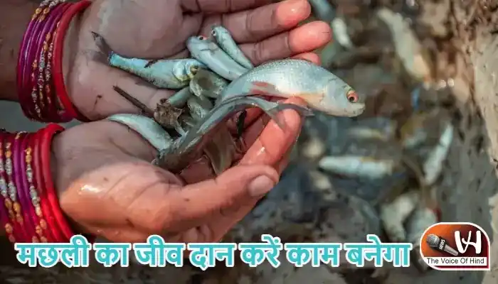 राशिफल (03-06-2026) : मछली का जीव दान करें काम बनेगा