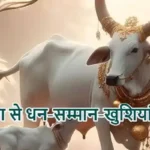 राशिफल (04-06-2026) : गौ सेवा से धन-सम्मान-खुशियां मिलेगी