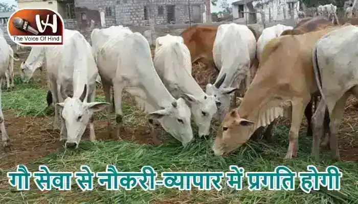 राशिफल (21-06-2026) : गौ सेवा से नौकरी-व्यापार में प्रगति होगी