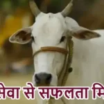 राशिफल (05-07-2026) : गौ सेवा से सफलता मिलेगी