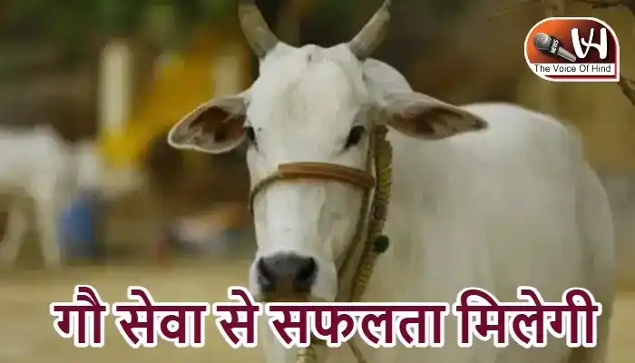 राशिफल (05-07-2026) : गौ सेवा से सफलता मिलेगी