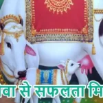 राशिफल (09-07-2026) : गौ सेवा से सफलता मिलेगी