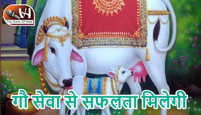राशिफल (09-07-2026) : गौ सेवा से सफलता मिलेगी