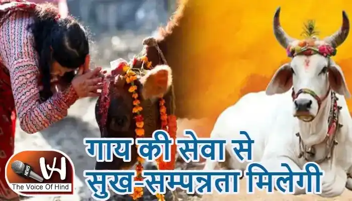 राशिफल (22-07-2026) : गाय की सेवा से सुख-सम्पन्नता मिलेगी