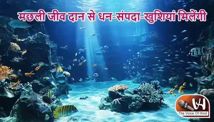 राशिफल (27-07-2026) : मछली जीव दान से धन-संपदा-खुशियां मिलेंगी